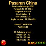 prediksi china hari ini tgl 17-08-2024